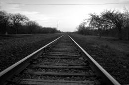 Tracks at sunset